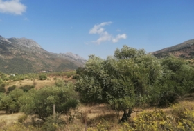 Jimera de Líbar 8000&nbsp;m² 