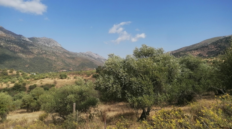 Málaga - Jimera de Líbar - 8000m2