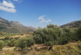 Jimera de Líbar 8000&nbsp;m² 