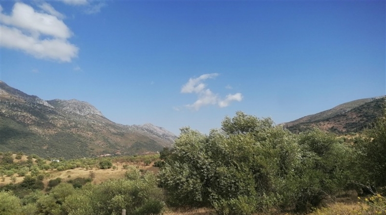 Málaga - Jimera de Líbar - 8000m2