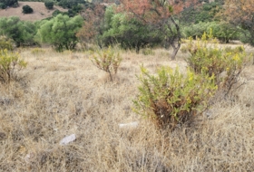 Jimera de Líbar 8000&nbsp;m² 