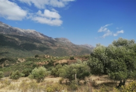 Jimera de Líbar 8000&nbsp;m² 