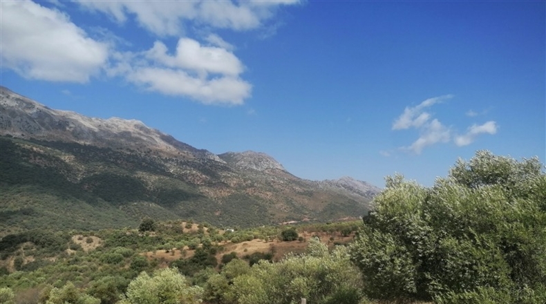Málaga - Jimera de Líbar - 8000m2