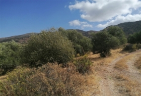 Jimera de Líbar 8000&nbsp;m² 