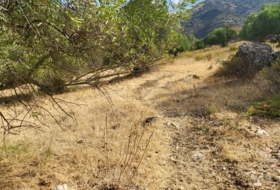 Jimera de Líbar 8000&nbsp;m² 