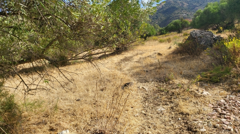 Málaga - Jimera de Líbar - 8000m2