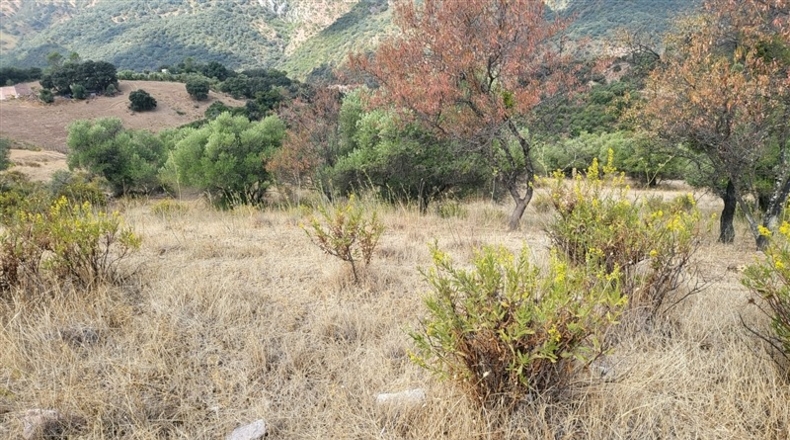 Málaga - Jimera de Líbar - 8000m2