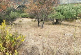 Jimera de Líbar 8000&nbsp;m² 