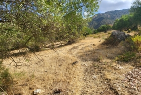 Jimera de Líbar 8000&nbsp;m² 