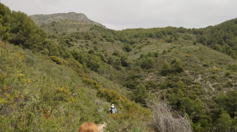 Málaga - Nerja - 668750m2