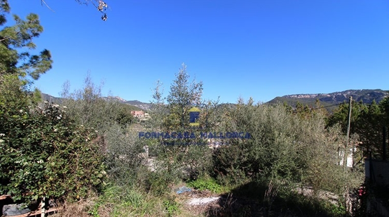 Islas Baleares - Puigpuñent - 787m2
