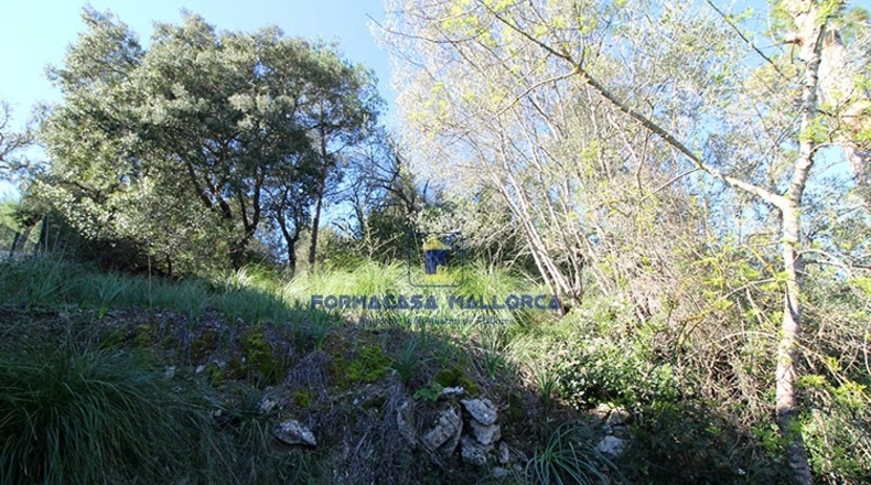 Islas Baleares - Puigpuñent - 787m2
