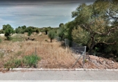 Urban land for sale on Sa Cabaneta, Marratxinet, ref: TR69232 photo