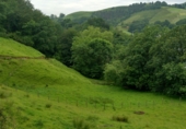 Non-developable land for sale on Olazkoegia auzoa, Aya, ref: TR69230 photo