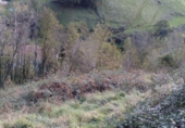 Non-developable land for sale on Olazkoegia auzoa, Aya, ref: TR69230 photo
