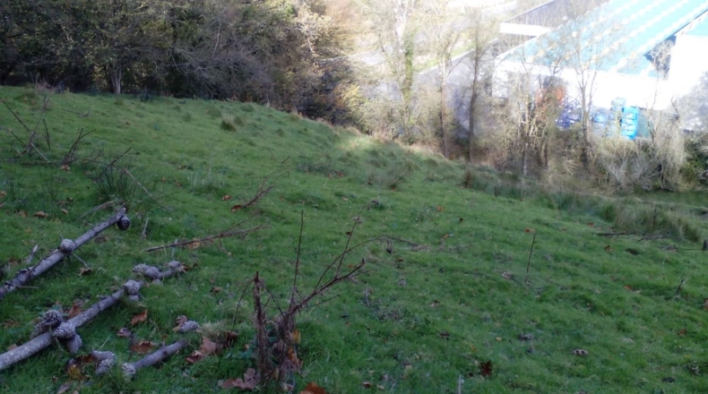 Guipúzcoa - Aya - 13300m2