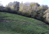 Non-developable land for sale on Olazkoegia auzoa, Aya, ref: TR69230 photo