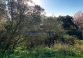 Urban land for sale on Carrer Gran, Puigpunyent, ref: TR69236 photo