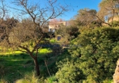 Urban land for sale on Carrer Gran, Puigpunyent, ref: TR69236 photo