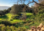 Urban land for sale on Carrer Gran, Puigpunyent, ref: TR69236 photo