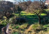 Urban land for sale on Carrer Gran, Puigpunyent, ref: TR69236 photo