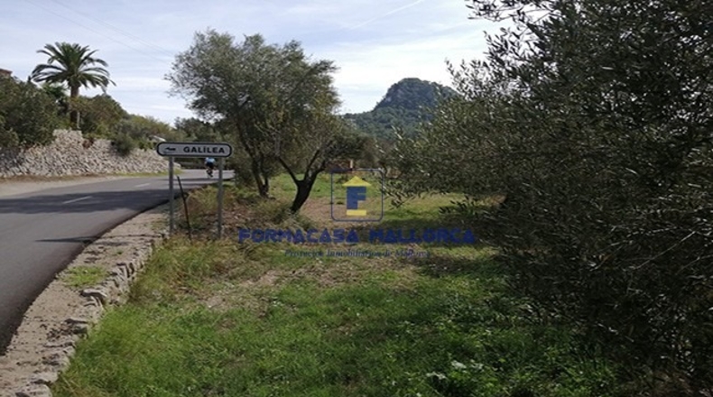 Islas Baleares - Puigpuñent - 584m2