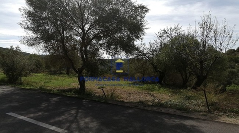 Islas Baleares - Puigpuñent - 584m2