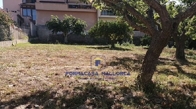 Islas Baleares - Puigpuñent - 528m2