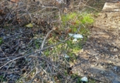 Land with greenhouse for sale on HORTA 6, Martorelles, ref: TR69310 photo