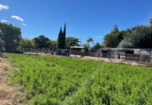 Terreno no urbanizable en venta en la Polígono 3 Parcela 169 Y 170 QUIÑONES, Alguazas, ref: TR69312 foto