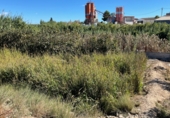 Terreno no urbanizable en venta en la Polígono 3 Parcela 169 Y 170 QUIÑONES, Alguazas, ref: TR69312 foto