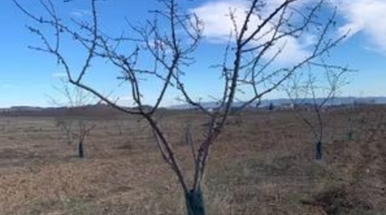Murcia - Lorca - 14000m2