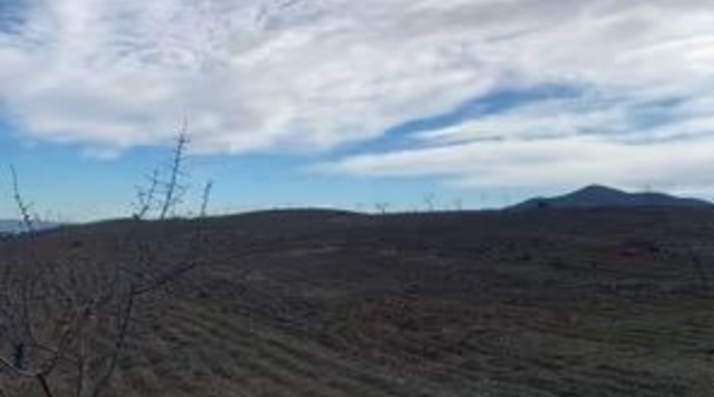 Murcia - Lorca - 14000m2