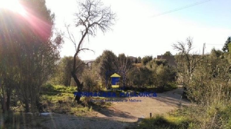 Islas Baleares - Puigpuñent - 2210m2