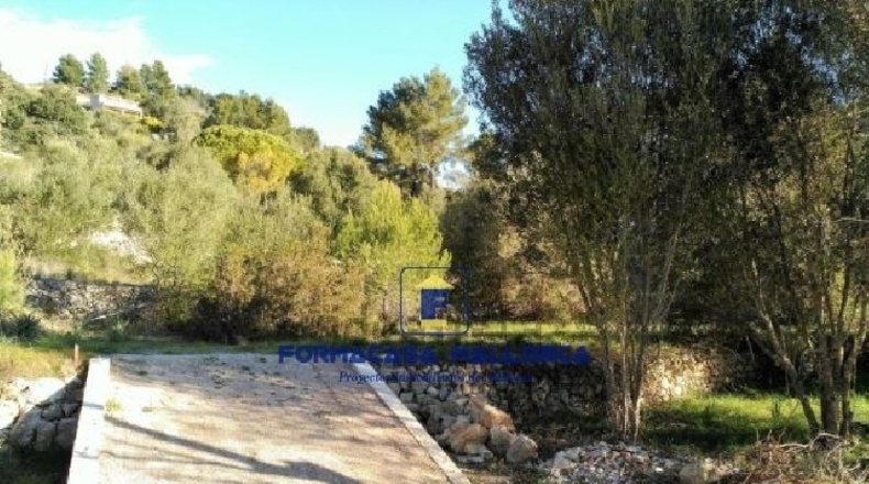 Islas Baleares - Puigpuñent - 2210m2