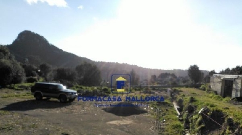 Islas Baleares - Puigpuñent - 2210m2