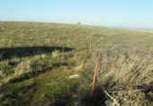 Non-developable land for rent on DSA-161, Armenteros, ref: TR69534 photo