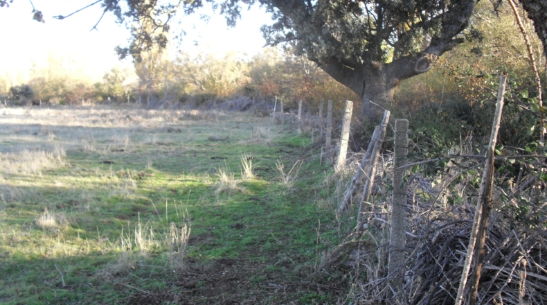 Salamanca - Armenteros - 60000m2