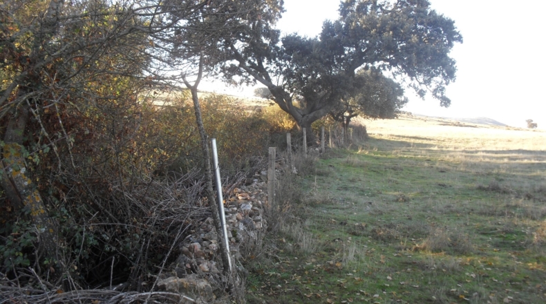 Salamanca - Armenteros - 60000m2