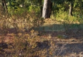 Urban land for sale on Serrabardina, Seva, ref: TR69533 photo