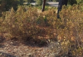 Urban land for sale on Serrabardina, Seva, ref: TR69533 photo