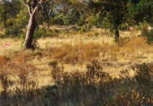Urban land for sale on Serrabardina, Seva, ref: TR69533 photo