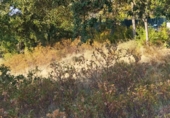 Urban land for sale on Serrabardina, Seva, ref: TR69533 photo