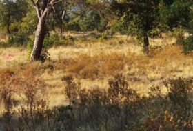 Seva 800&nbsp;m² 