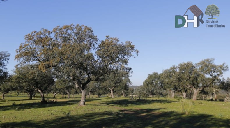 Cáceres - Cáceres - 10000000m2