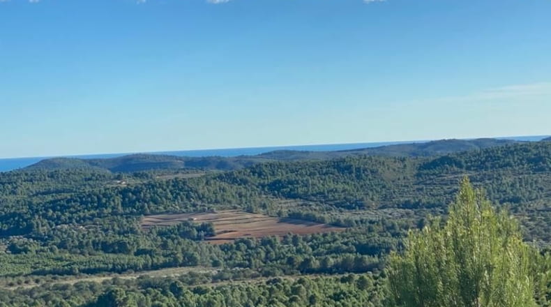 Castellón - El Polido - 44131m2