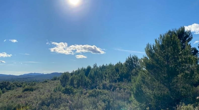 Castellón - El Polido - 44131m2