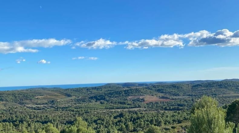 Castellón - El Polido - 44131m2