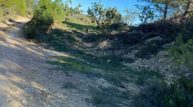 Castellón - El Polido - 44131m2