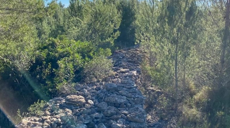 Castellón - El Polido - 44131m2